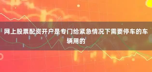 网上股票配资开户是专门给紧急情况下需要停车的车辆用的