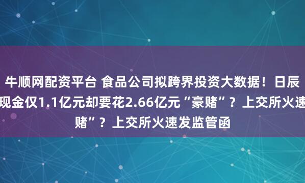 牛顺网配资平台 食品公司拟跨界投资大数据！日辰股份账面现金仅1.1亿元却要花2.66亿元“豪赌”？上交所火速发监管函